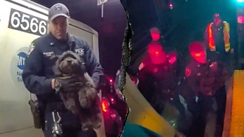 Dramatic video shows NYPD officers rescuing a missing dog named Moose from beneath a Manhattan subway train