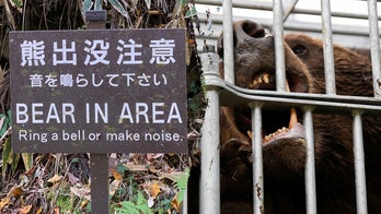 Japan deploys military after record bear attacks across country