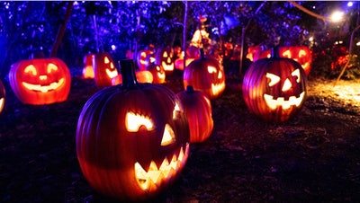 Pumpkin 'Picasso' celebrates 40 years of carving this Halloween - Fox News