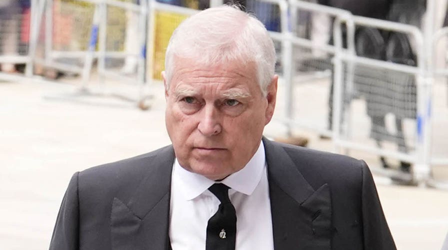 Prince Andrew, Jeffrey Epstein had money and sex in common: author