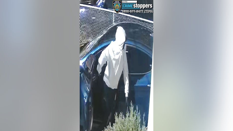 Queens multimillion dollar burglary suspect 3