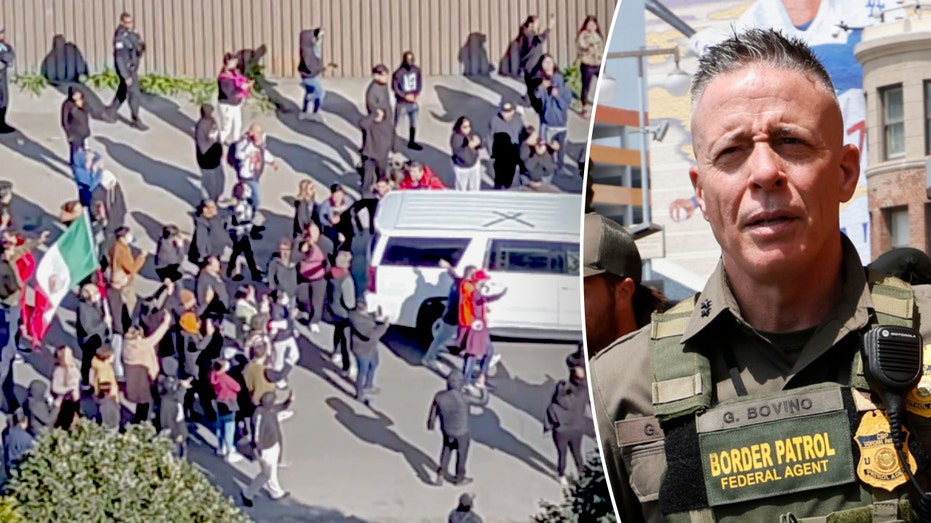 DHS shares 'video evidence' to justify Border Patrol's tear gas use during chaotic Chicago immigration raid