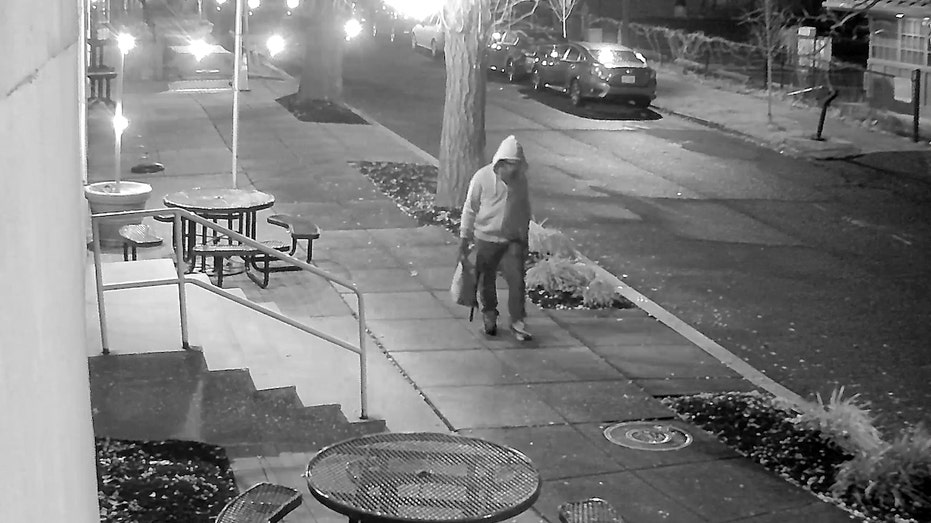 Who is Brian Cole Jr, the DC pipe bomb suspect?