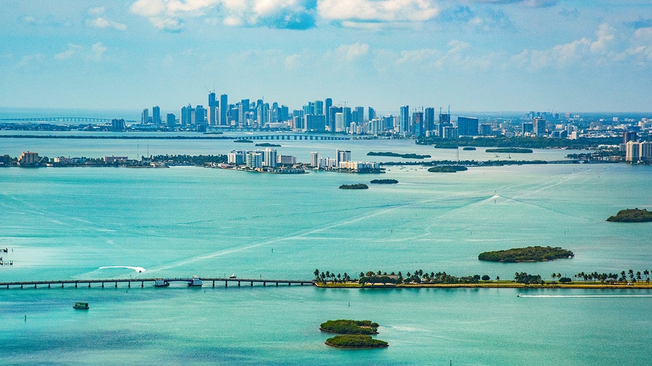 Beach bliss turns chaotic as shark lunges at snorkeler: 'He could have ripped my arm off'