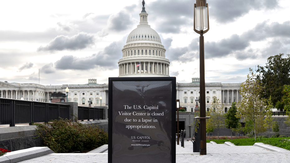 Shutdown crushes small business owners as losses hit billions — industry leaders beg Congress for 'clean CR'
