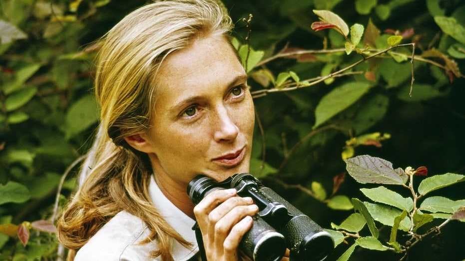 Jane Goodall’s cause of death revealed weeks after beloved conservationist dies at 91