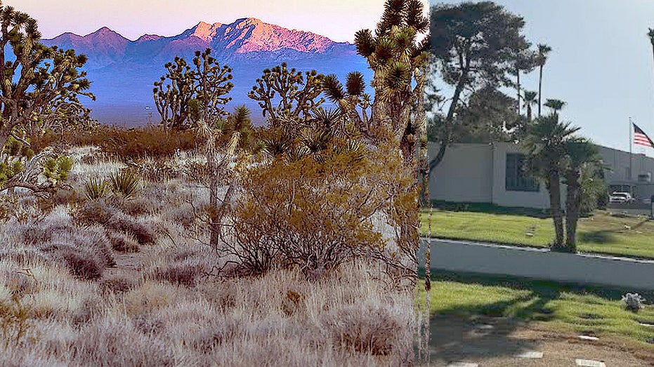 DESERT OF THE DAMNED: Shocking Remains Uncovered!