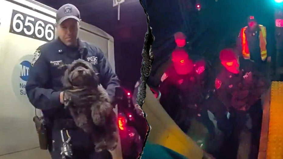 Dramatic video shows NYPD officers rescue missing dog Moose from beneath Manhattan subway train
