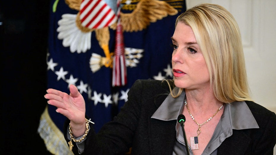 Suspect with lengthy rap sheet arrested for alleged Pam Bondi 'murder-for-hire' scheme: FBI