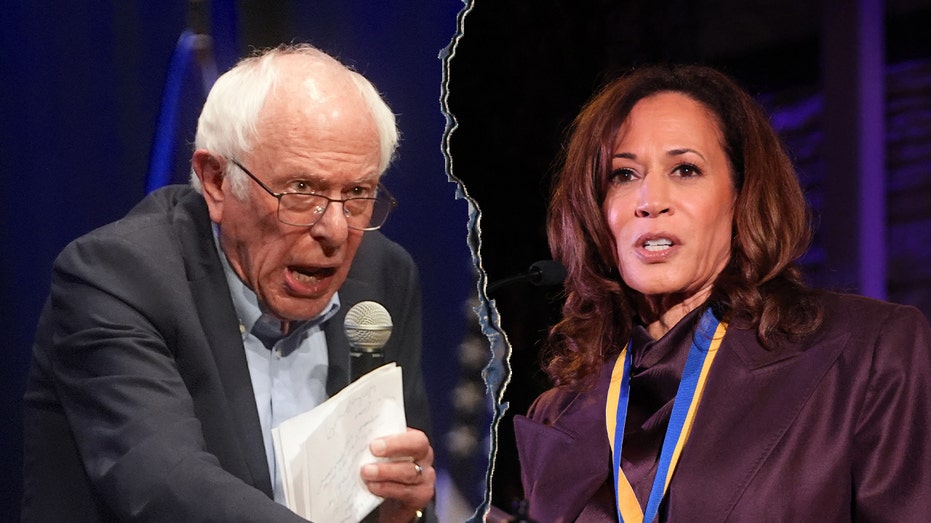Bernie Sanders slams Kamala Harris' 2024 campaign, says she failed to focus on important issues