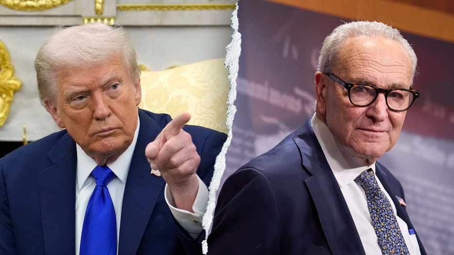 Trump says 'substantial' number of jobs will be permanently lost if shutdown persists, Dems 'have no leader'