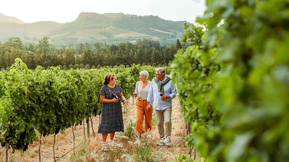 Vineyard owners use Gospel of John metaphor to guide winemaking philosophy