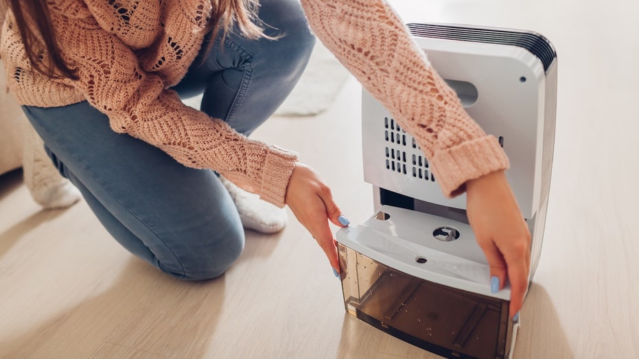 These best dehumidifier deals help fight moisture, mold and mildew