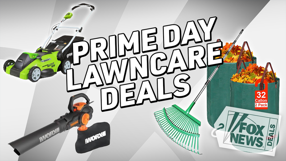 Tackle leaf season with mowers, rakes and more on sale during Amazon's October Prime Day