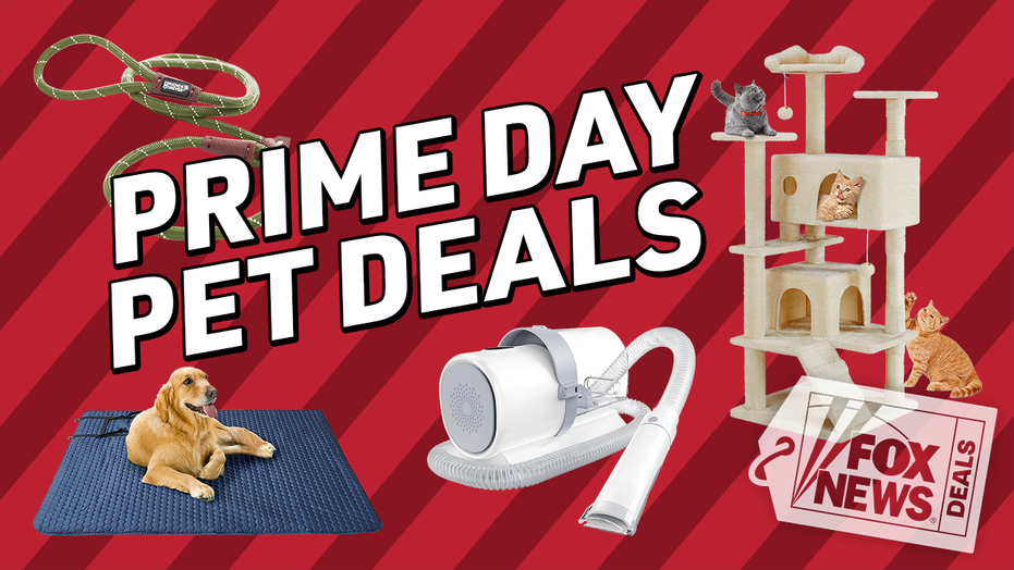 October Prime Day means big pet savings: Up to 50% off cat and dog gear