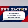 A crocodile can go one year without eating