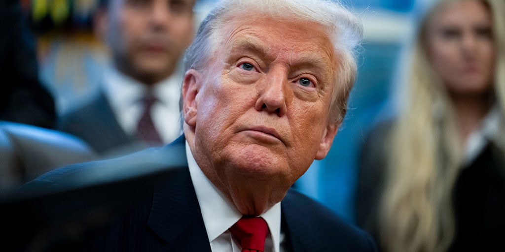 Trump blocks South Africa from 2026 G20 summit for alleged 'horrific human rights abuses"