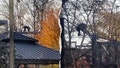 Chimpanzee escapes from Indianapolis Zoo enclosure, triggering emergency lockdown - Fox News