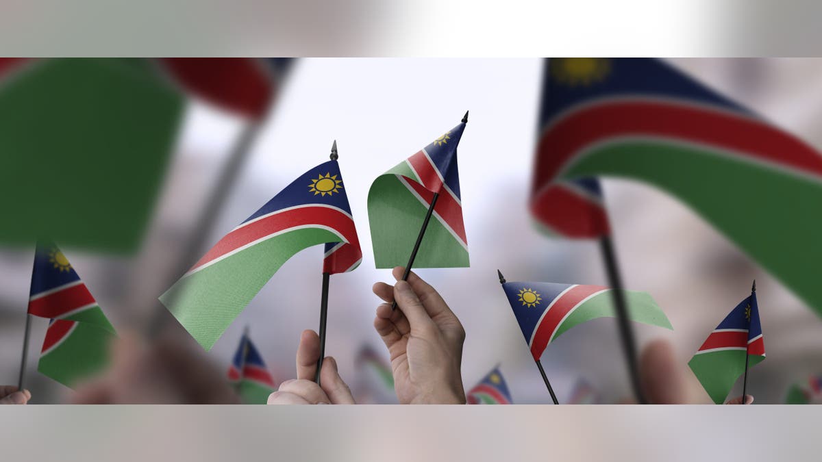 Namibia flags in their hands on a blurred urban background