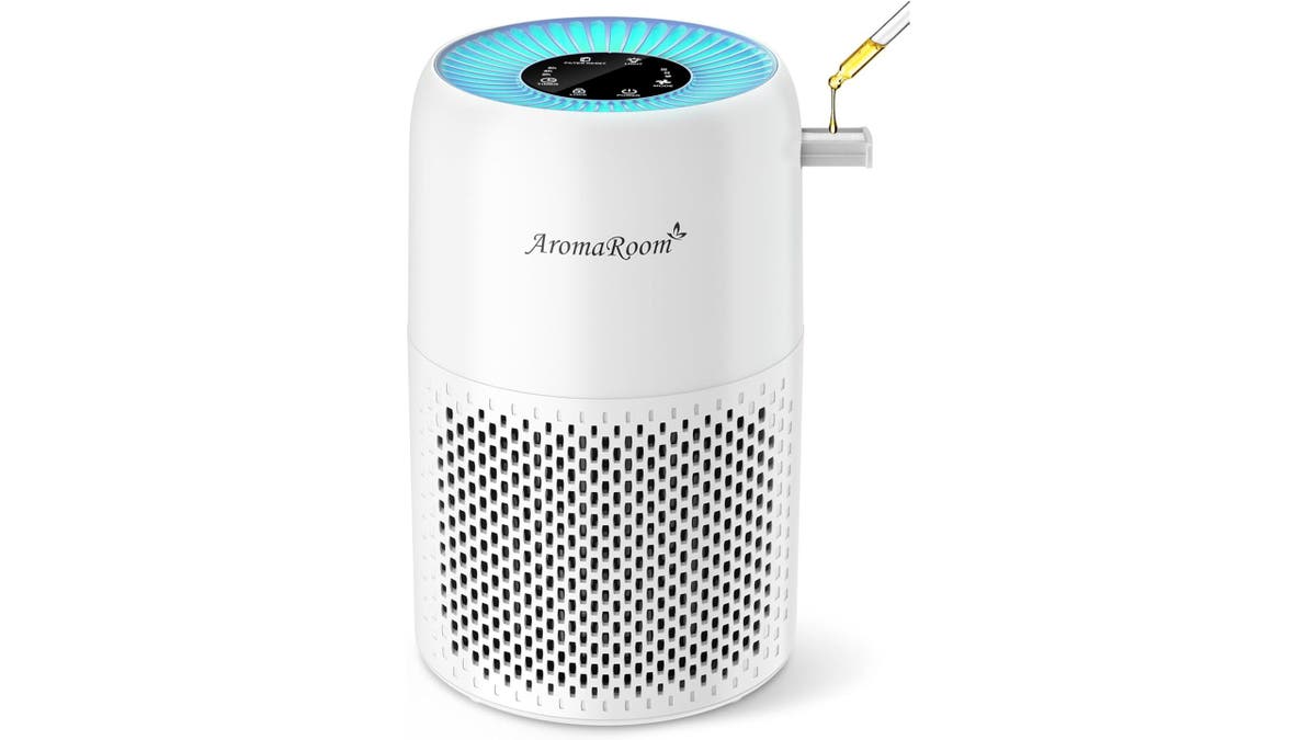 Best Black Friday air purifier deals – Up to $200 off Dyson, Levoit and more top picks  at george magazine