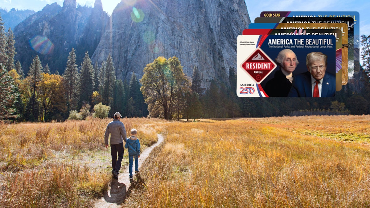 father and son in the national park, Trump and George Washington, America, beautiful pass to the national park