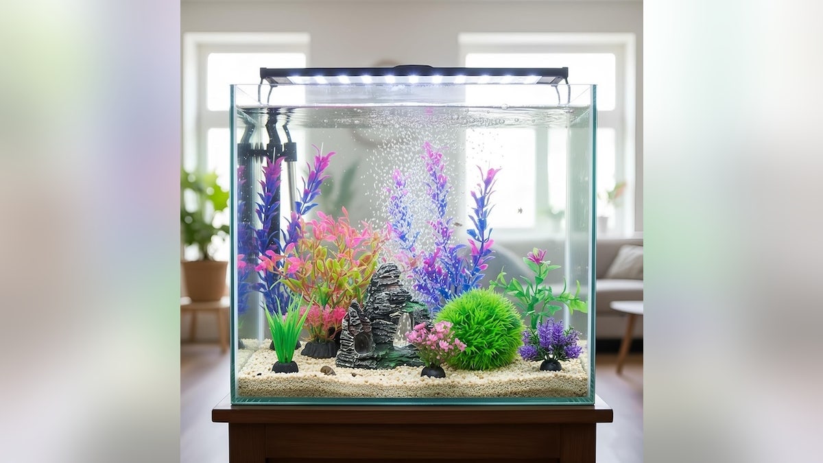 Pet owners (and their furry friends) will love these Black Friday deals – litter boxes, cute mugs and more  at george magazine