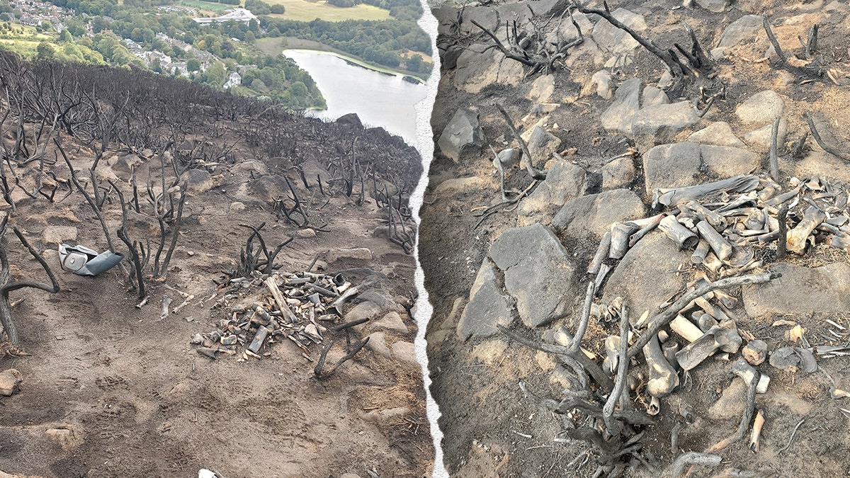 Burnt landscape, mysterious bone division image