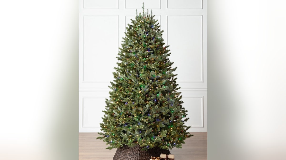 With rich green needles and silver undersides, the Fraser Fir silhouette is very lifelike.