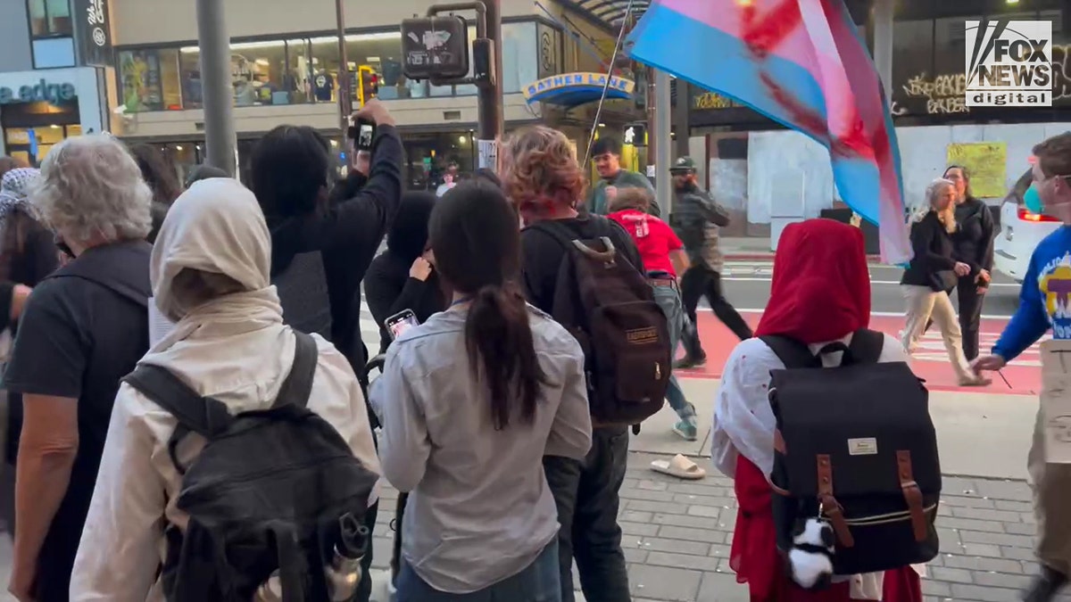 Fight breaks retired  extracurricular  TPUSA lawsuit   astatine  UC Berkeley.