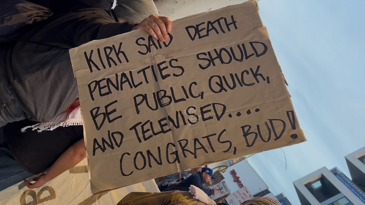 UC Berkeley protester covers camera with sign