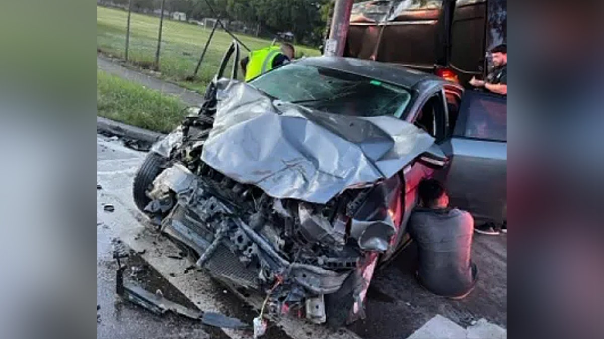 Sanctuary politicians' rhetoric led to 1,150% surge in violence against ICE agents: DHS  at george magazine