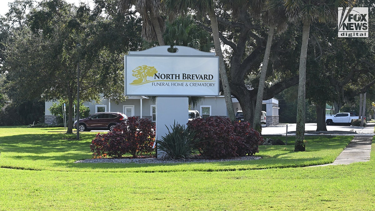 Cheerleader who died aboard Carnival cruise ship cremated, death certificate reveals  at george magazine