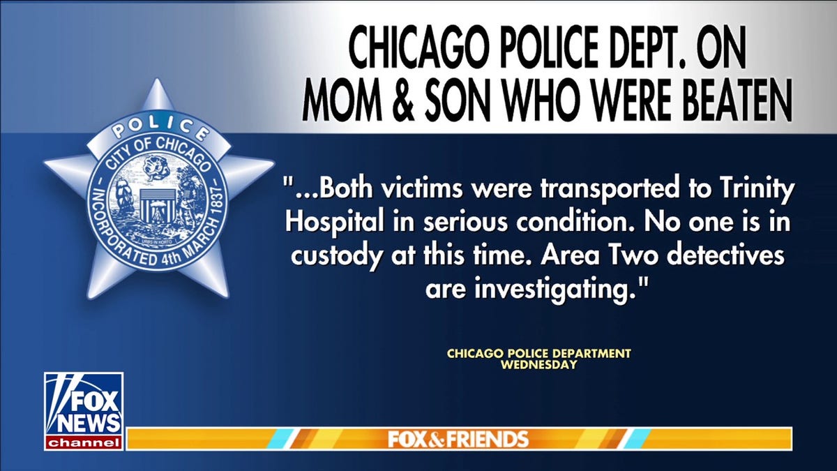 Chicago residents demand action, accountability after mob of children brutally beats mother and 9-year-old son  at george magazine