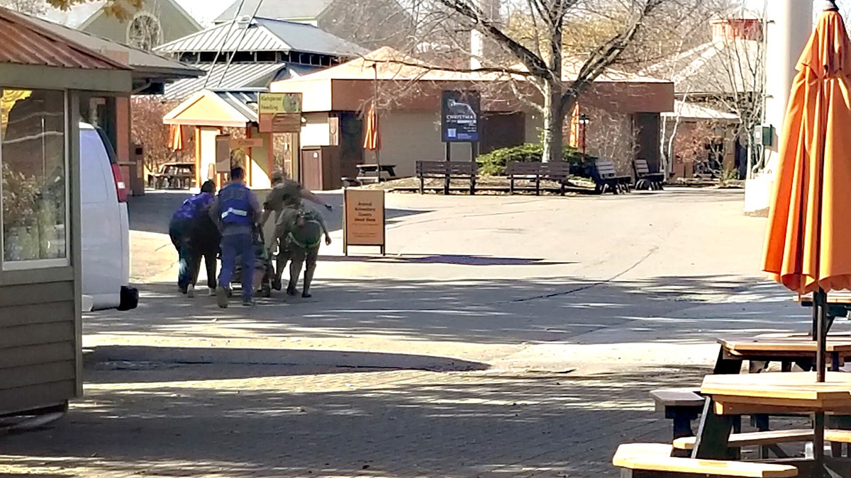 Zoo officials detaining the escaped chimp