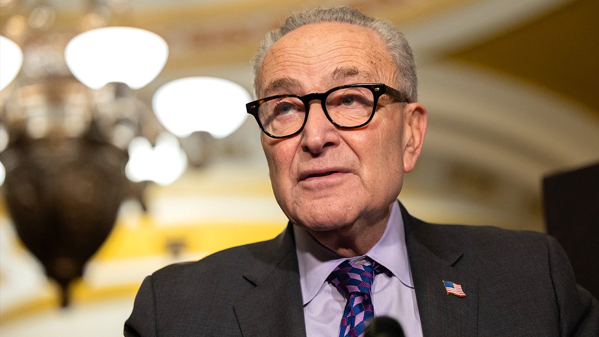 Senate Minority Leader Chuck Schumer speaks at a press conference alongside members of the Senate Democratic Caucus.