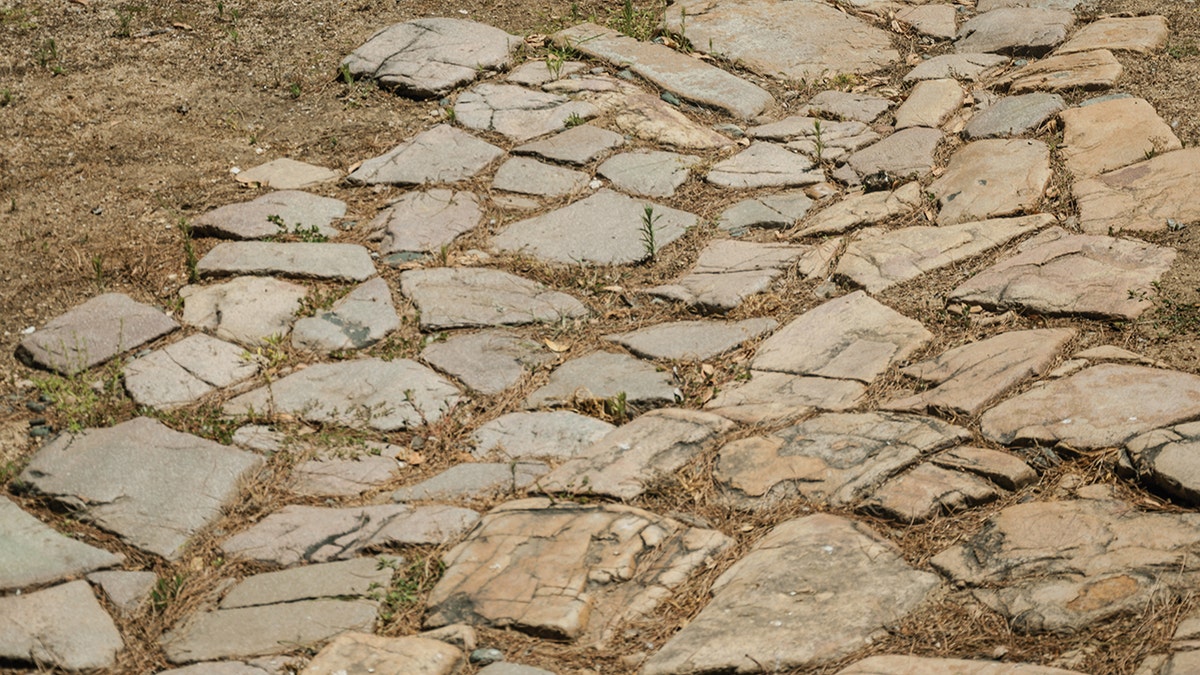 Close-up of an ancient cobblestone road with irregular stones and dry grass between them.