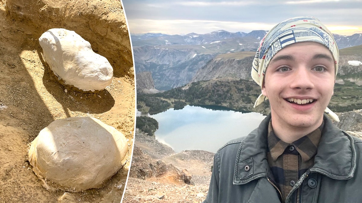 Crânio de dinossauro revestido ao lado de Aidan sorrindo