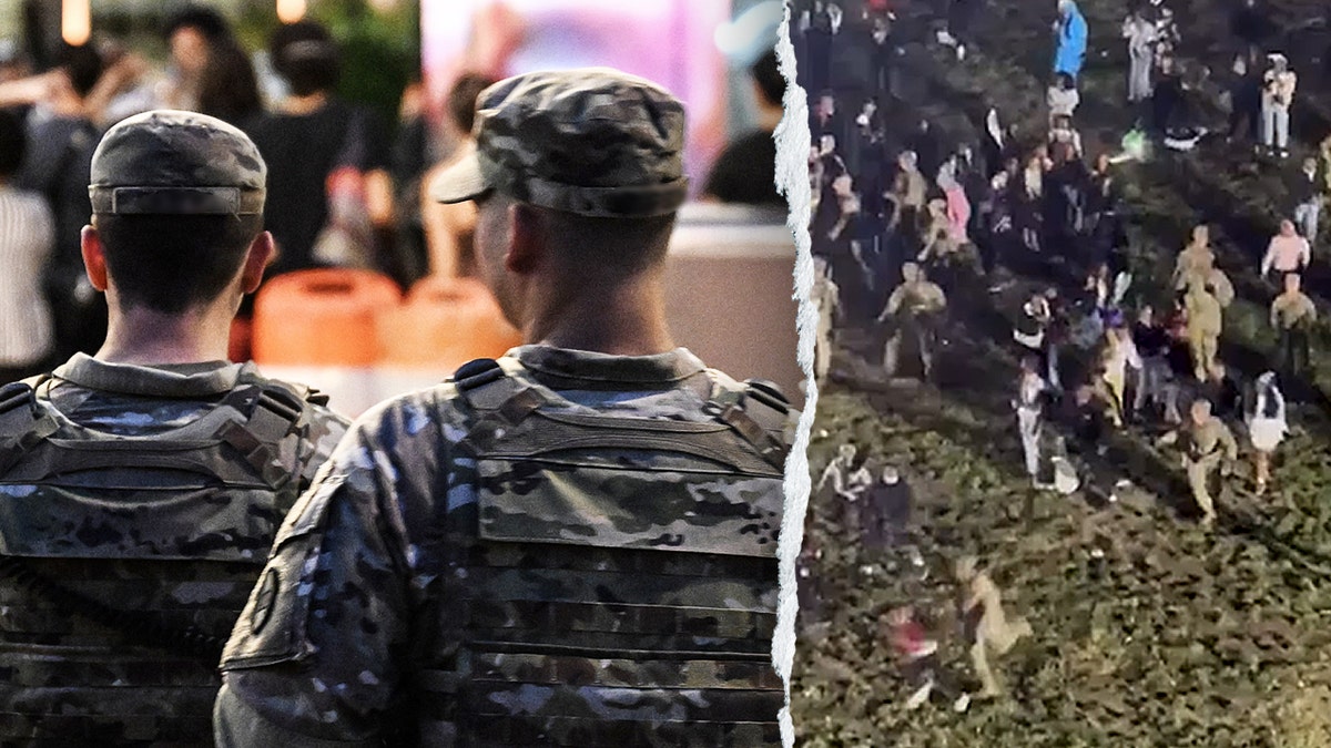 National Guard troops and people being chased at park in Washington, D.C.