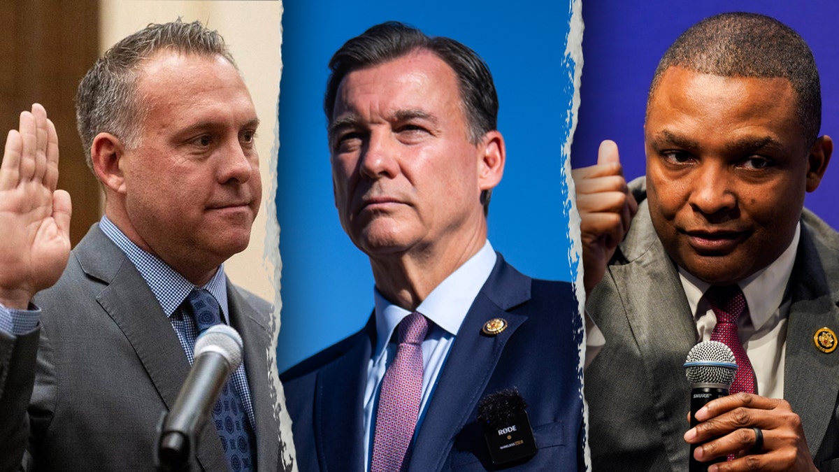 Representantes. Adam Gray, Tom Suozzi y Don Davis