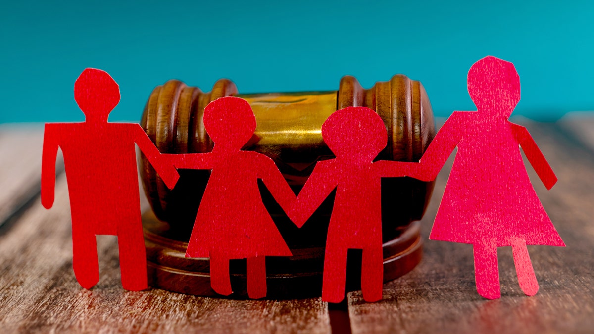 বিশেষজ্ঞরা আমেরিকার বাচ্চাদের নিরাপত্তা ঝুঁকি সম্পর্কে সতর্ক করেছেন কারণ ফটোগুলি দত্তক নেওয়ার জন্য দেখানো হয়েছে৷