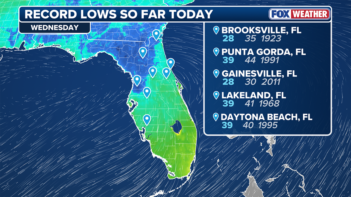 A weather map of florida, showing cold temperatures