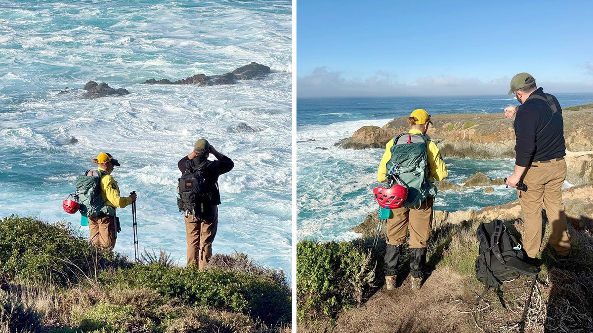 search team members scouring the coastline