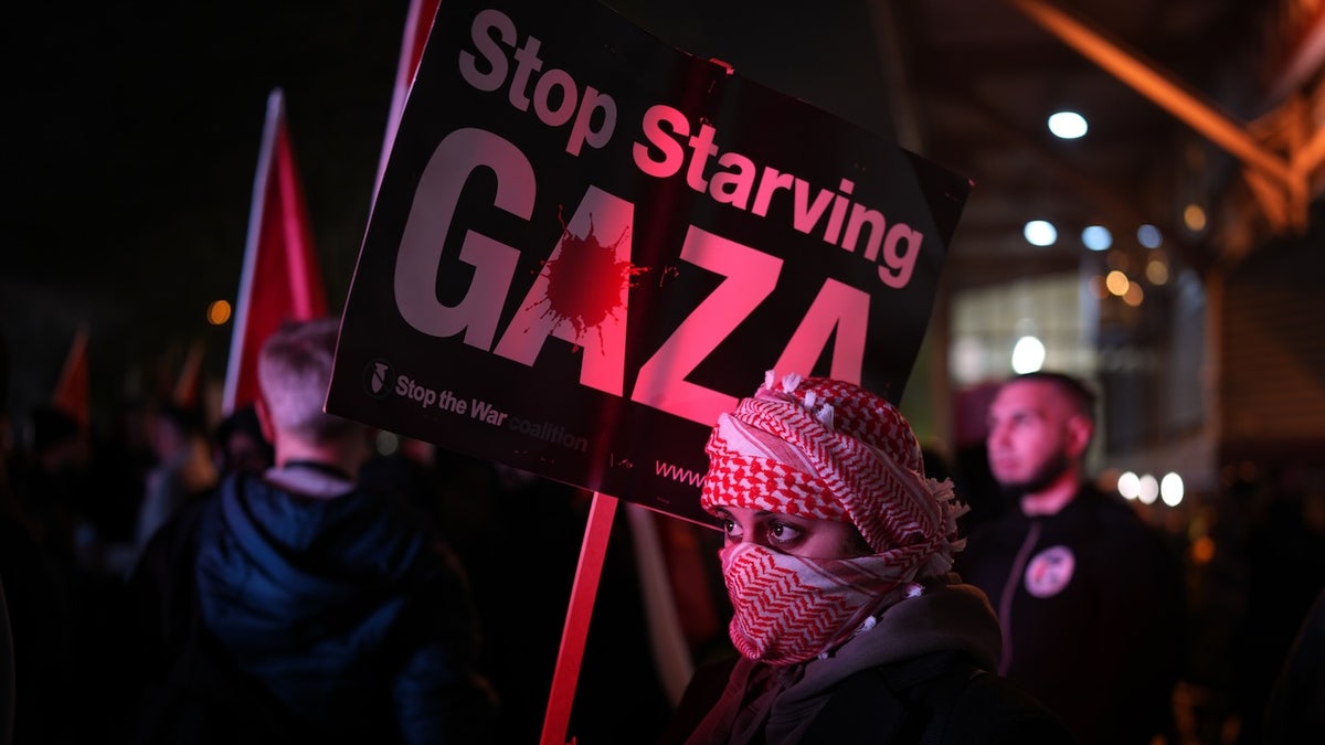 Pro-Palestine protestor