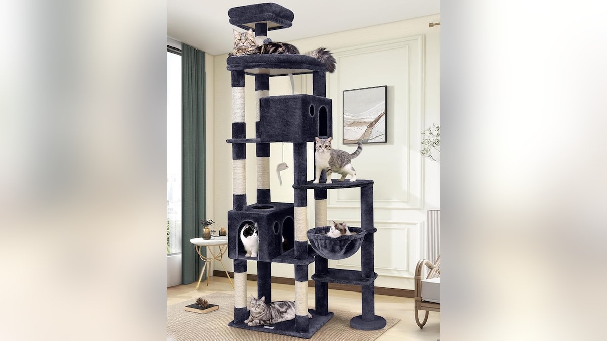 Your cats will be entertained for hours on this tree.