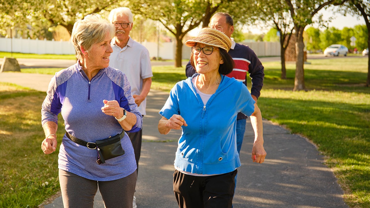 A group of older adults walking and chatting together in a sunny park.
