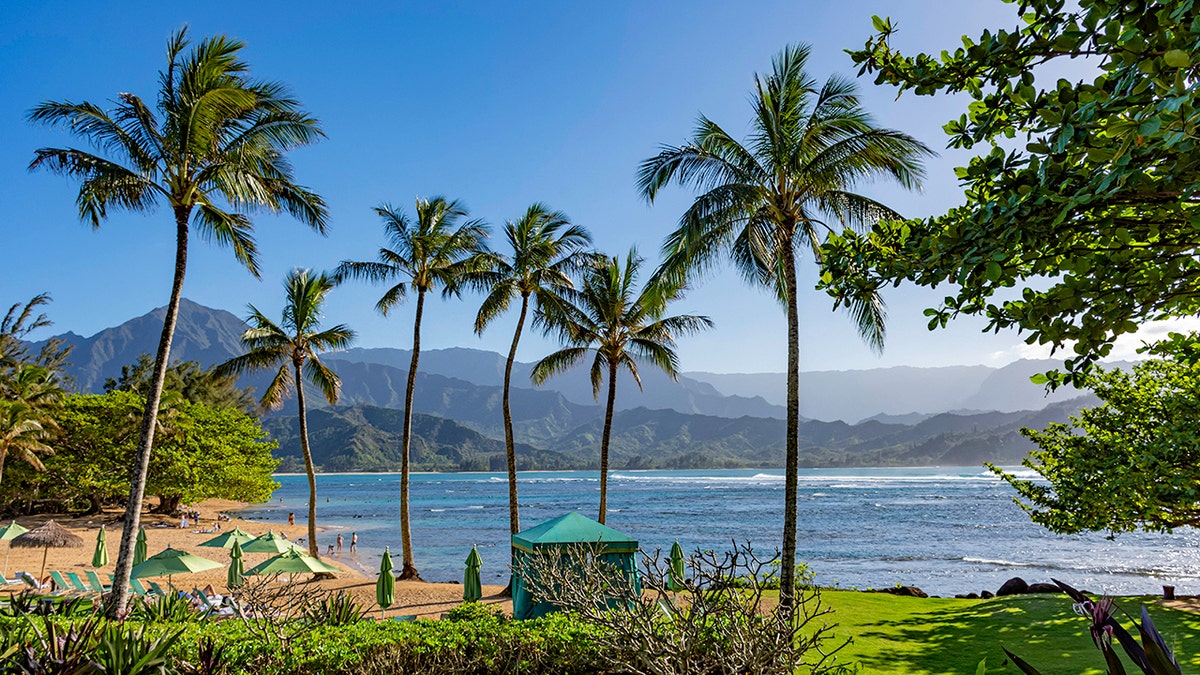 An image of a beach in Hanalei Bay, Hawaii