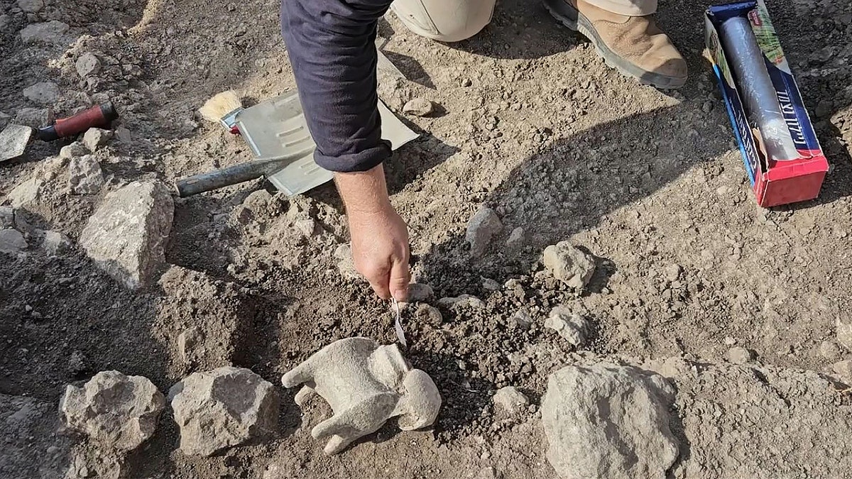 Archaeologist seen digging in soil at site