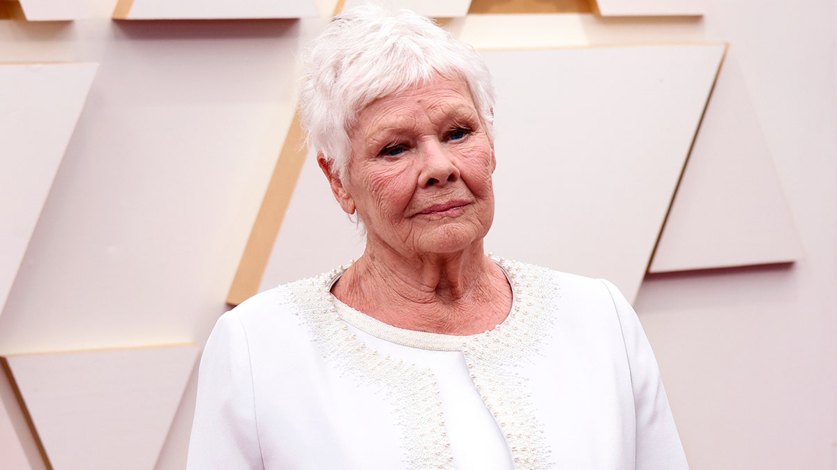 Judi Dench on the red carpet