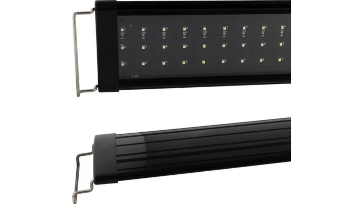 Pet owners (and their furry friends) will love these Black Friday deals – litter boxes, cute mugs and more  at george magazine