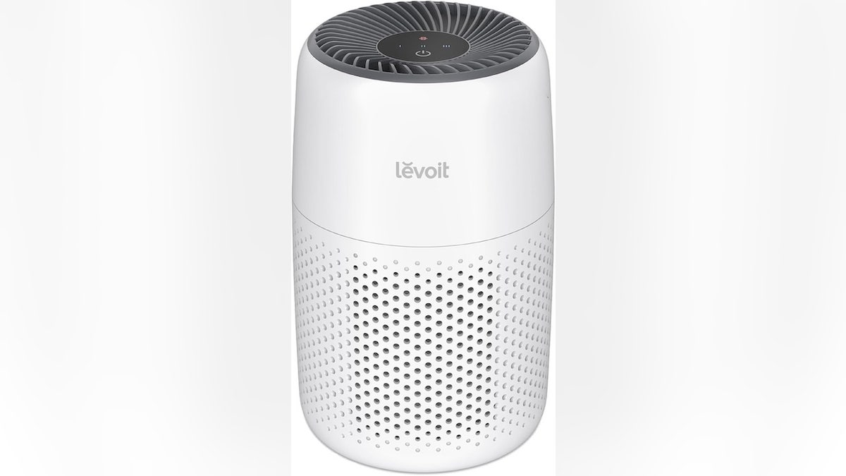 Small and compact, this air purifier can easily be moved from room to room. 